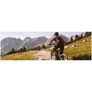 BMX/Freestyle fiets
