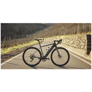 Cruiserfietsen