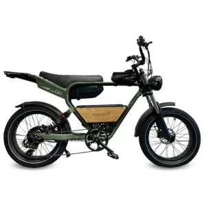 Fatbikes